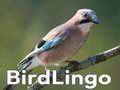 ເກມ BirdLingo