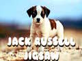ເກມ Jack Russell Jigsaw