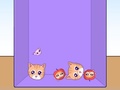 ເກມ Evolution of Cat Memes