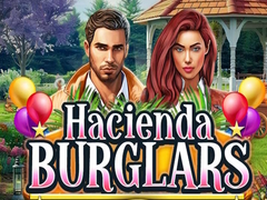 ເກມ Hacienda Burglars