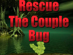 ເກມ Rescue The Couple Bug