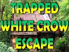 ເກມ Trapped White Crow Escape