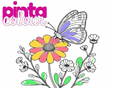 ເກມ Pinta Colour