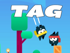 ເກມ Tag