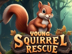 ເກມ Young Squirrel Rescue