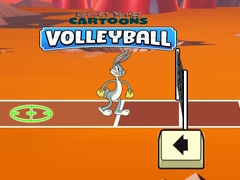 ເກມ Looney Tunes Cartoons Volleyball
