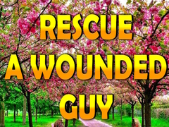ເກມ Rescue A Wounded Guy