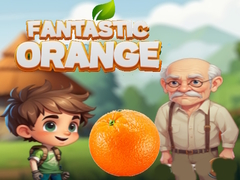 ເກມ Fantastic Orange