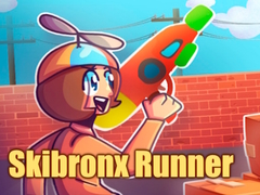 ເກມ Skibronx Runner