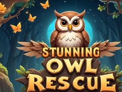 ເກມ Stunning Owl Rescue