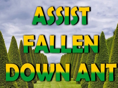 ເກມ  Assist Fallen Down Ant