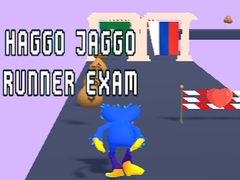 ເກມ Haggo Jaggo Runner exam