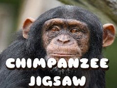 ເກມ Chimpanzee Jigsaw