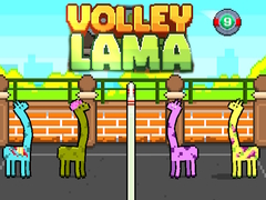 ເກມ Volley Lama