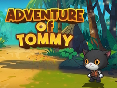 ເກມ Advanture Of Tommy
