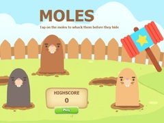ເກມ Mole A Whack