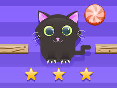 ເກມ Cat Challenge