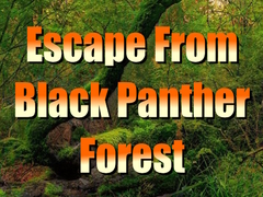ເກມ Escape from Black Panther Forest