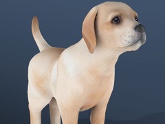 ເກມ IDLE Pet