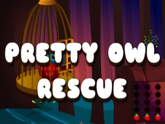 ເກມ Pretty Owl Rescue