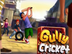 ເກມ Gully Cricket