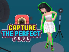 ເກມ Capture the Perfect Pose 
