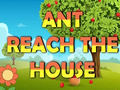 ເກມ Ant Reach the House