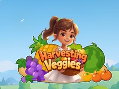 ເກມ Harvesting Veggies