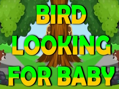 ເກມ Bird Looking For Baby