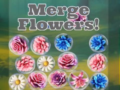 ເກມ Merge Flowers!
