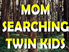 ເກມ Mom Searching Twin Kids