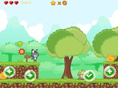 ເກມ Baby Cat Adventure