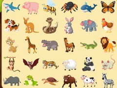 ເກມ Discover Animals