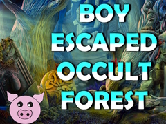 ເກມ Boy Escaped Occult Forest