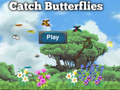 ເກມ Catch Butterflies