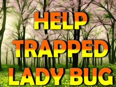 ເກມ Help Trapped Lady Bug