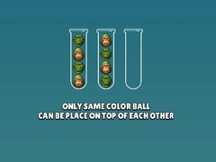 ເກມ Brainrot Mind Puzzle Sort Challenge