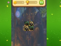 ເກມ Magic Druid Memory Match