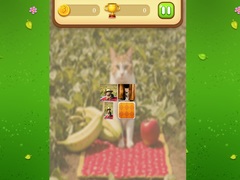 ເກມ Farm Cat Memory Match