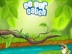 ເກມ Colour Catch