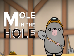 ເກມ Mole in the Hole