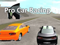 ເກມ Pro Car Racing