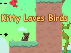 ເກມ Kitty Loves Birds