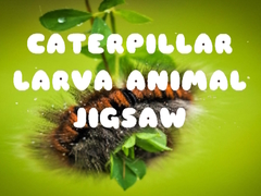 ເກມ Caterpillar Larva Animal Jigsaw
