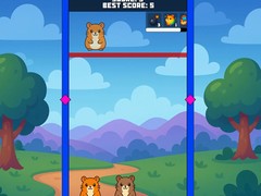 ເກມ Evolution Of Hamsters