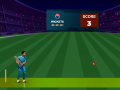ເກມ Cricket Night 2