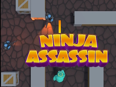 ເກມ Ninja Assassin