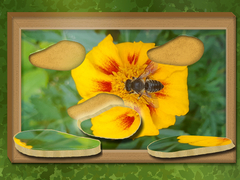 ເກມ Find & Restore: Hidden Puzzle