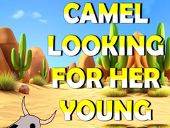 ເກມ Camel Looking For Her Young