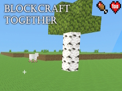 ເກມ BlockCraft Together